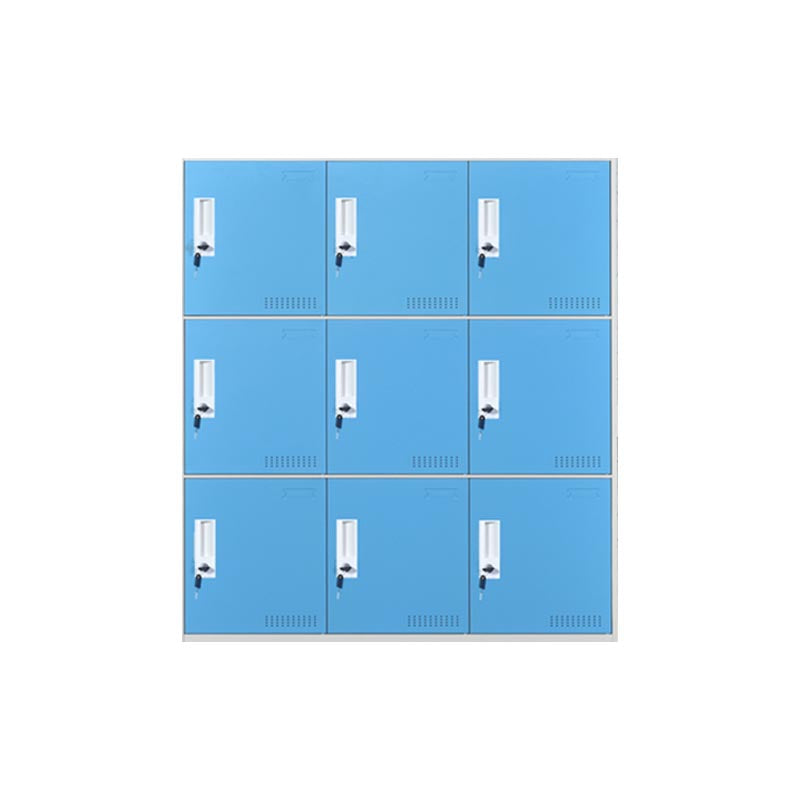 Modern Non-Hanging Armoire with Hinged Doors Matte Finish Storage Cabinet