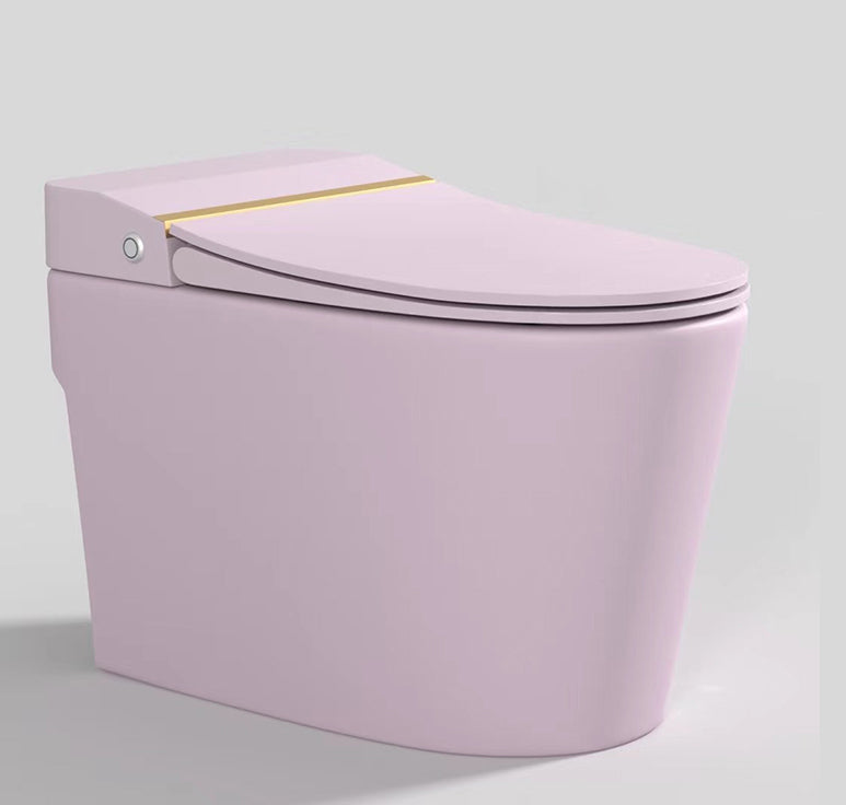 Modern Floor Mount Toilet Bowl Siphon Jet Skirted Toilet with Seat for Bathroom