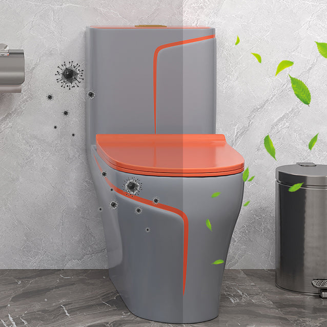 Traditional Flush Toilet Floor Mount One-Piece Toilet with Slow Close Seat