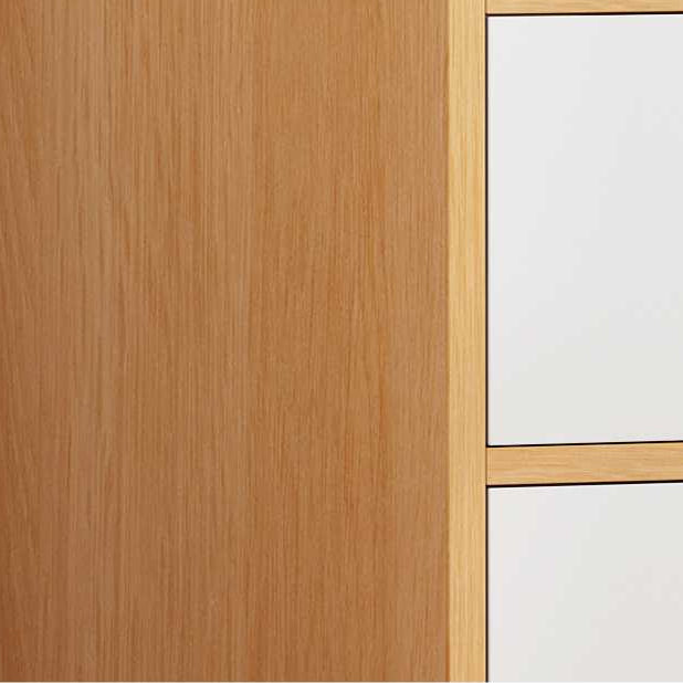 4 Drawers Wood Side Cabinet Contemporary 1 - Door Accent Chest