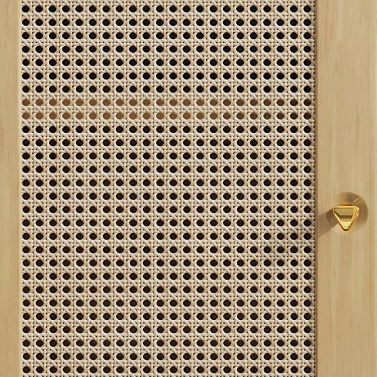 2 - Drawer and 2-Door Cabinet 42.5" Tall Rattan Storage Cabinet