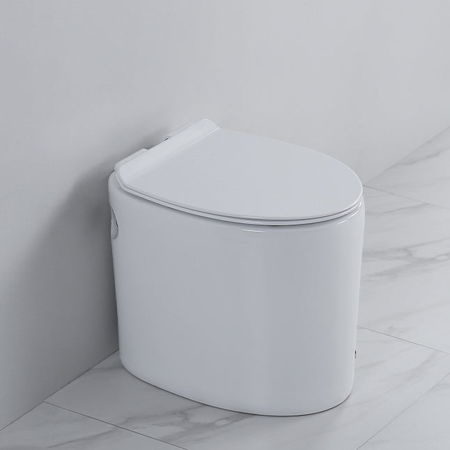 Floor Mounted Toilet One-Piece Toilet ABS Contemporary Flush Toilet