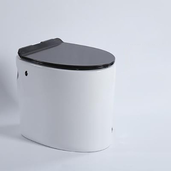 Floor Mounted Toilet One-Piece Toilet ABS Contemporary Flush Toilet