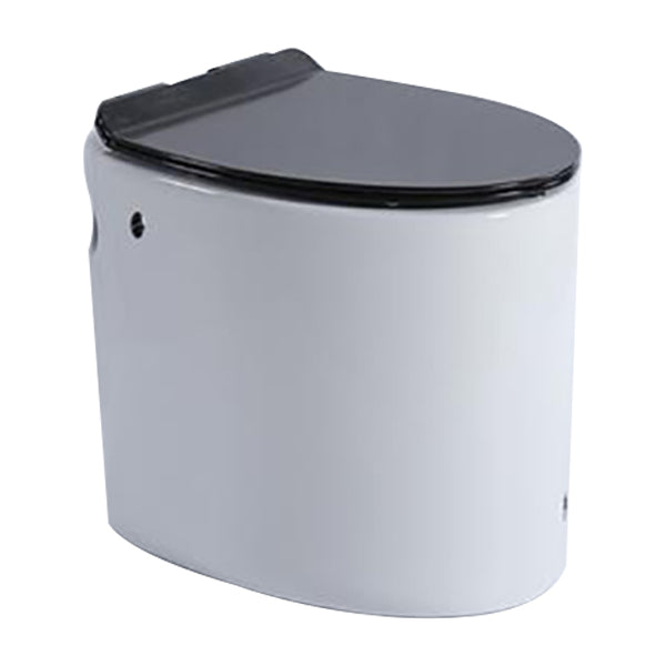 Floor Mounted Toilet One-Piece Toilet ABS Contemporary Flush Toilet