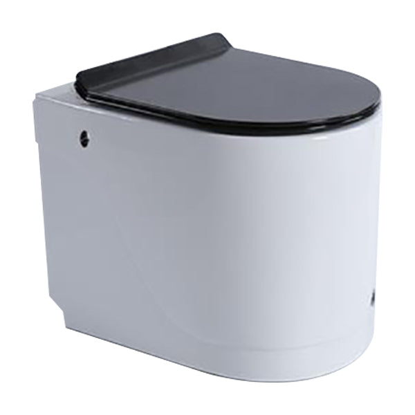 Floor Mounted Toilet One-Piece Toilet ABS Contemporary Flush Toilet