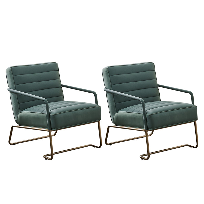 Arms Included Lounge Chair Living Room Chair with Gold Tone Legs