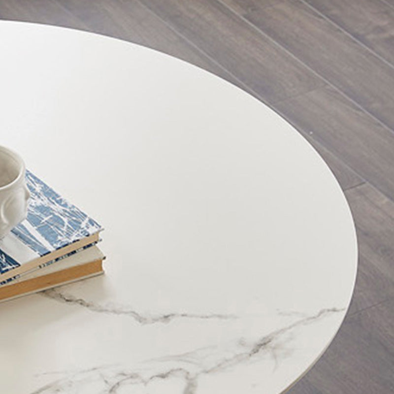 Modern Round Table Sintered Stone Table with Metal Legs for Home