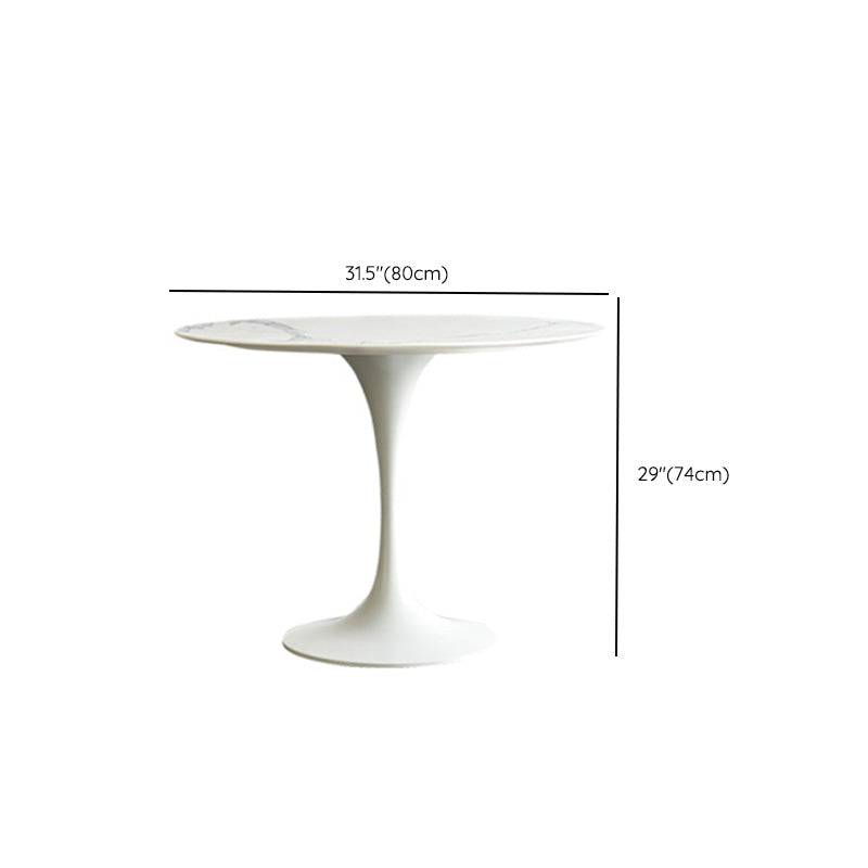 Modern Round Table Sintered Stone Table with Metal Legs for Home