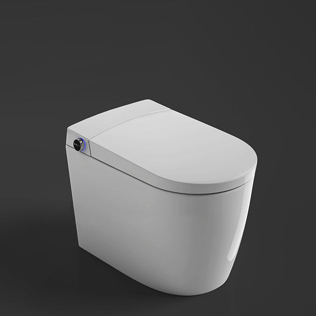 Modern 1-Piece Flush Toilet Floor Mounted Toilet Bowl for Washroom