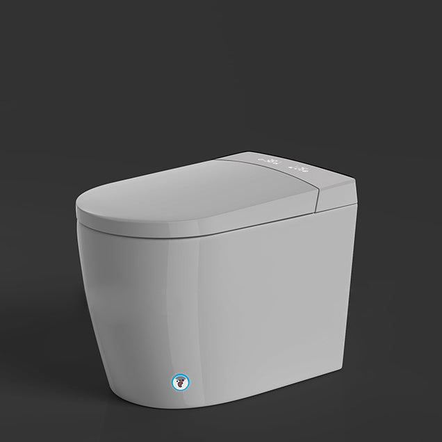 Modern 1-Piece Flush Toilet Floor Mounted Toilet Bowl for Washroom