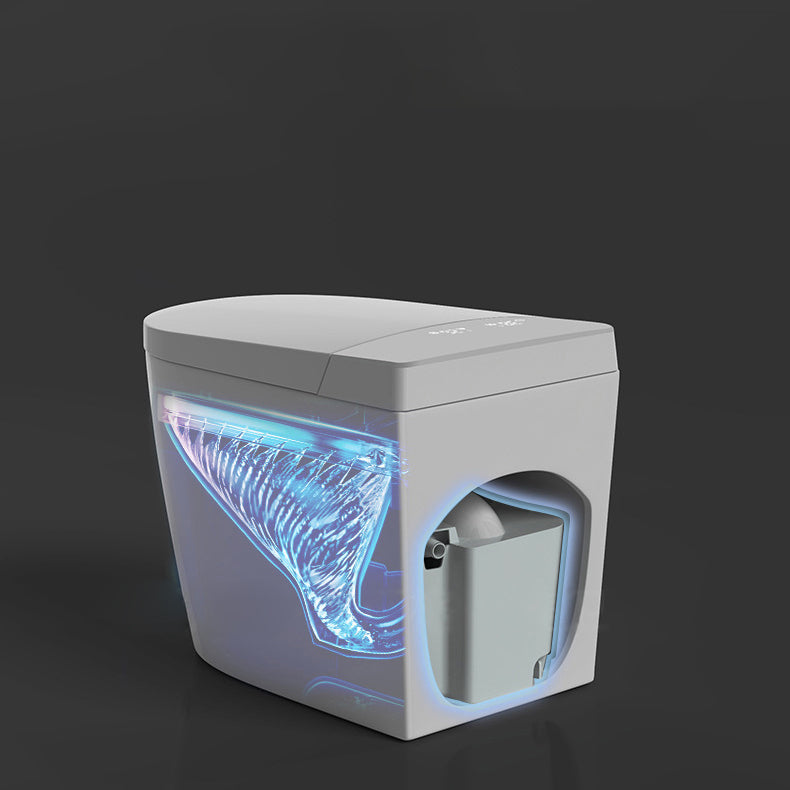 Modern 1-Piece Flush Toilet Floor Mounted Toilet Bowl for Washroom