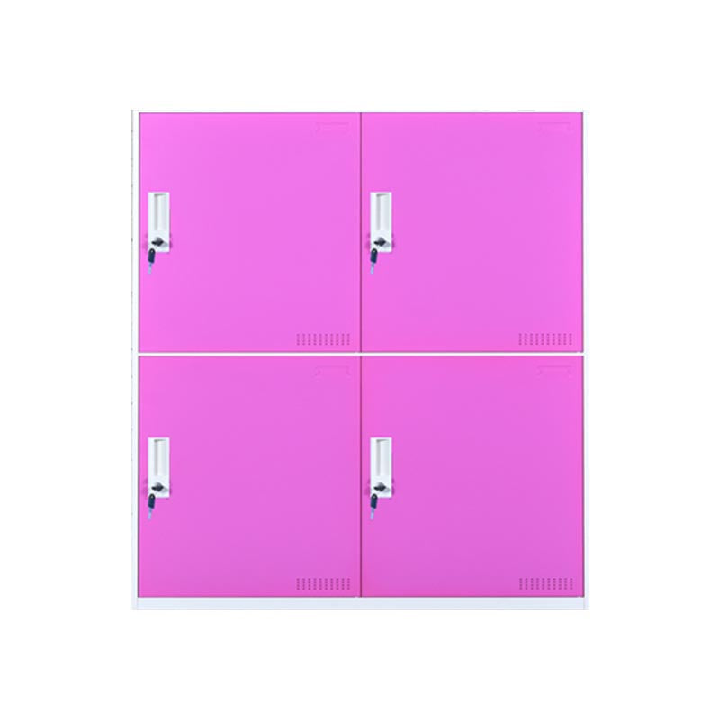 Indoor Non-Hanging Cabinet Contemporary Hinged Door Storage Cabinet