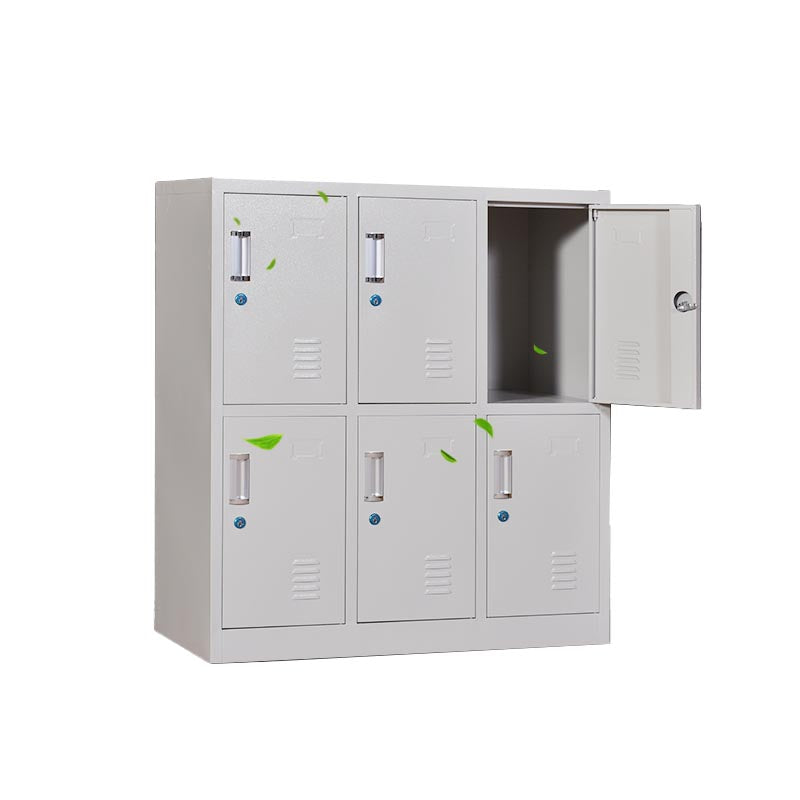 Indoor Non-Hanging Cabinet Contemporary Hinged Door Storage Cabinet