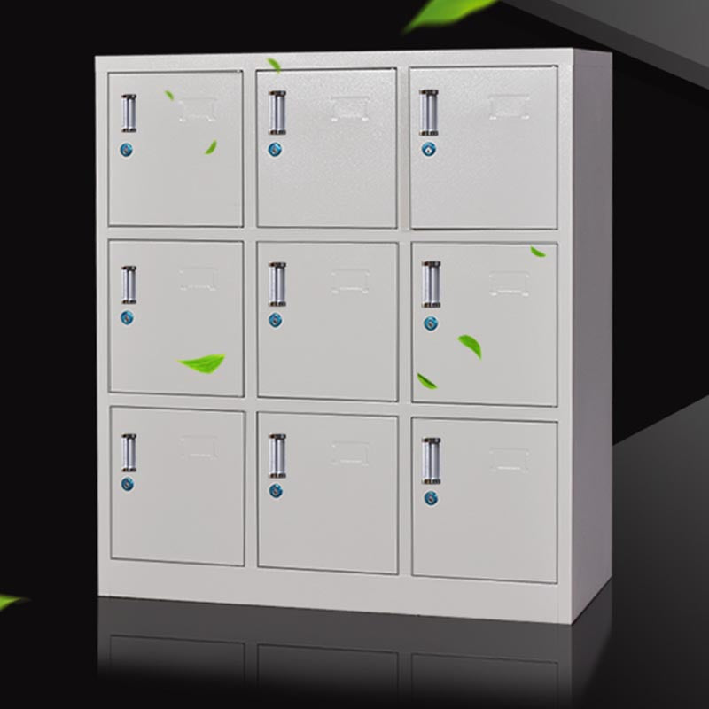 Indoor Non-Hanging Cabinet Contemporary Hinged Door Storage Cabinet