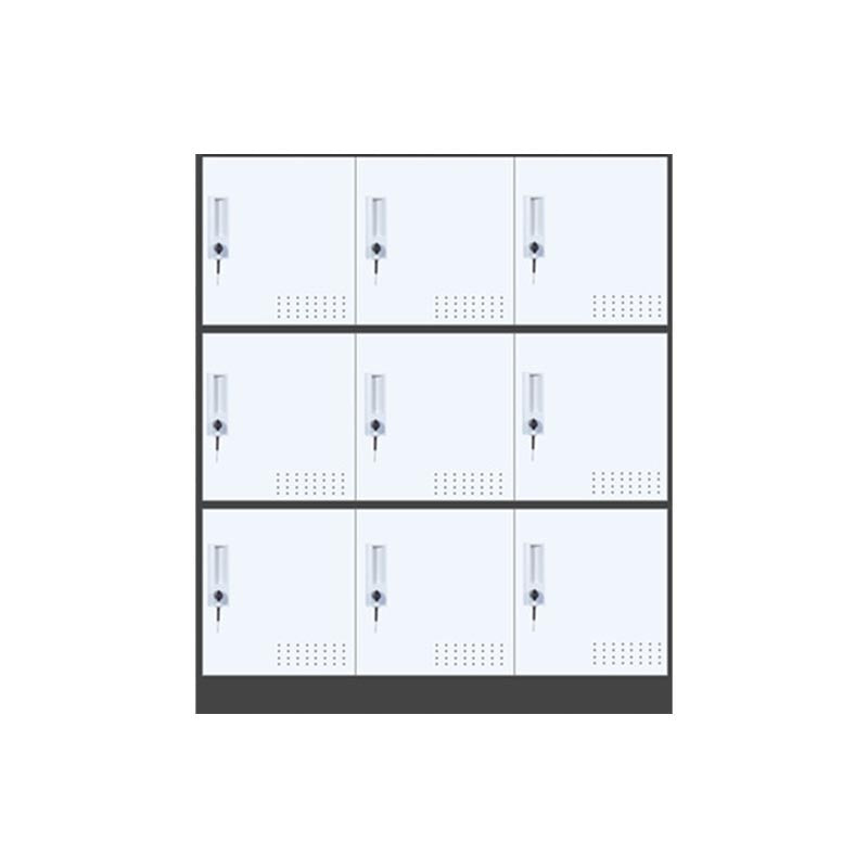 Indoor Non-Hanging Cabinet Contemporary Hinged Door Storage Cabinet
