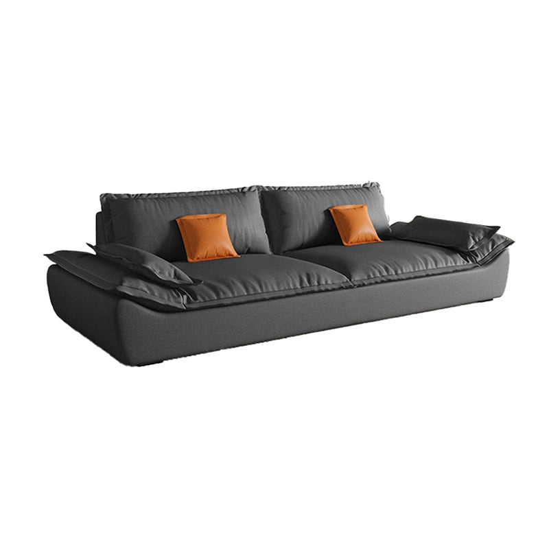 Contemporary Living Room Pillow Top Arm Sofa with 2 Pillows Seating