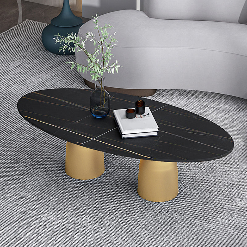 Glam 15.7"Tall Iron 2 Legs Oval Slate Table Top Coffee Table