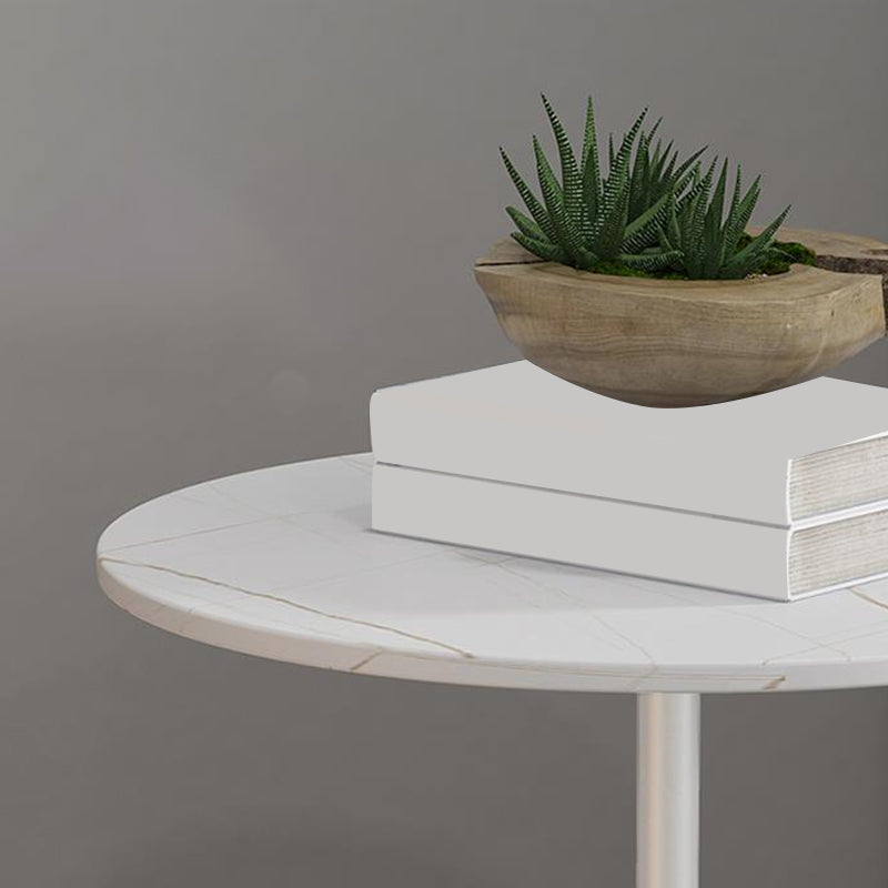 Contemporary End Table Metal Pedestal Round Living Room Side Table