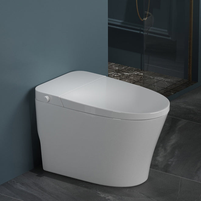 Modern Elong Toilet Bowl One Piece Toilet with Seat for Bathroom
