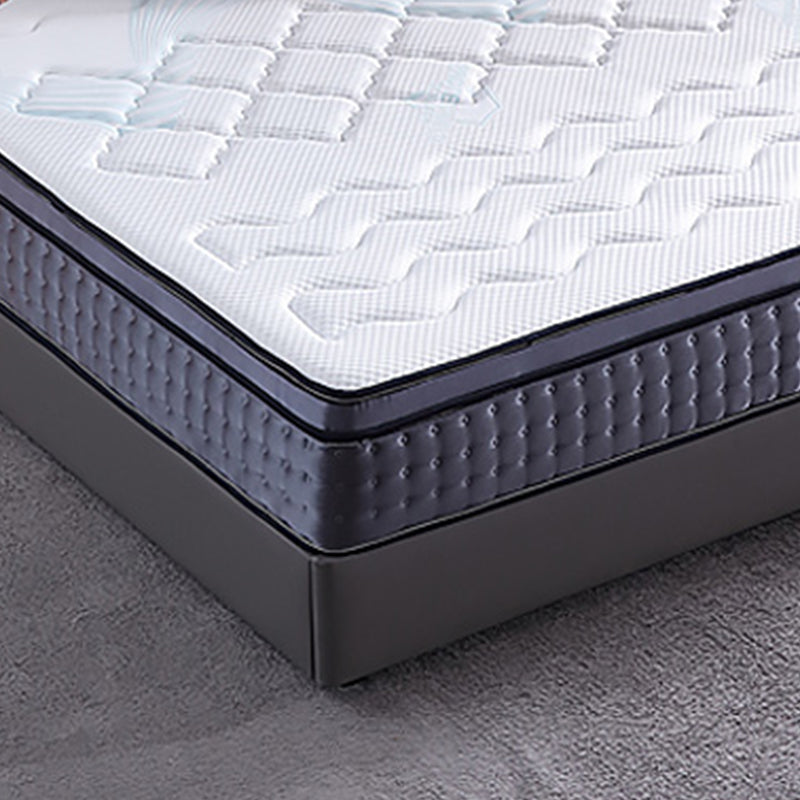 Grey Platform Bed Frame Contemporary Platform Bed with Lift Up Storage