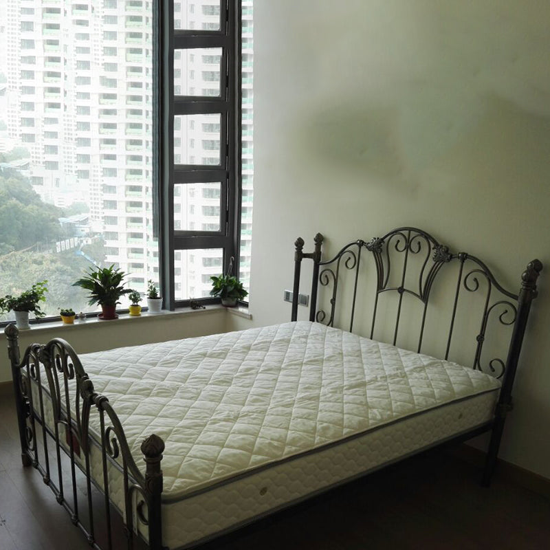 Metal Open-Frame Bed Solid Color Slat Bed with Custom Gold Leg