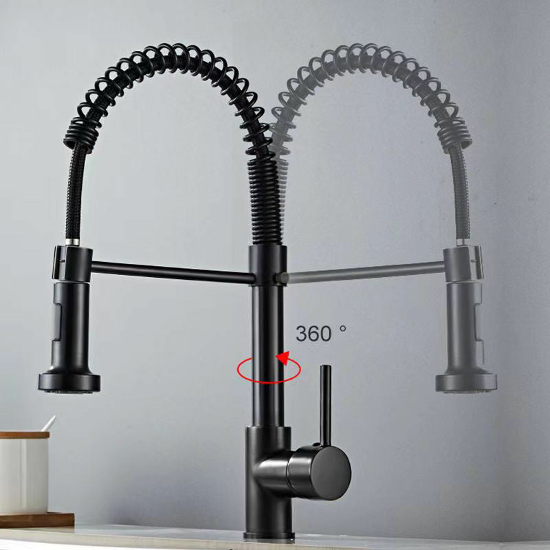 Modern 1-Handle Faucet Spring Spout with Water Dispenser Standard Kitchen Faucet