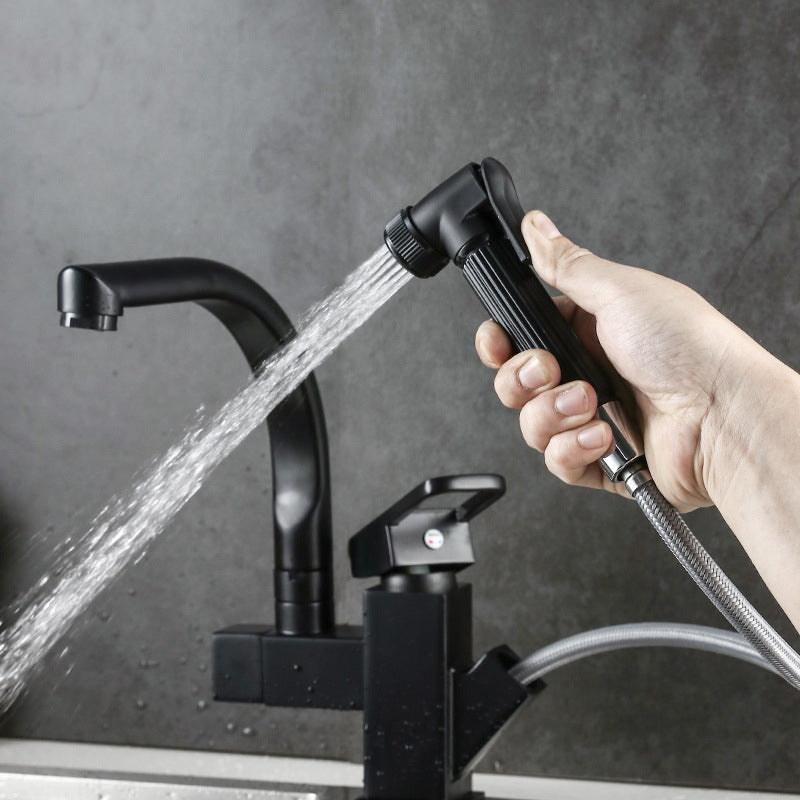 Traditional 1-Handle Faucet with Water Dispenser Standard Kitchen Faucet