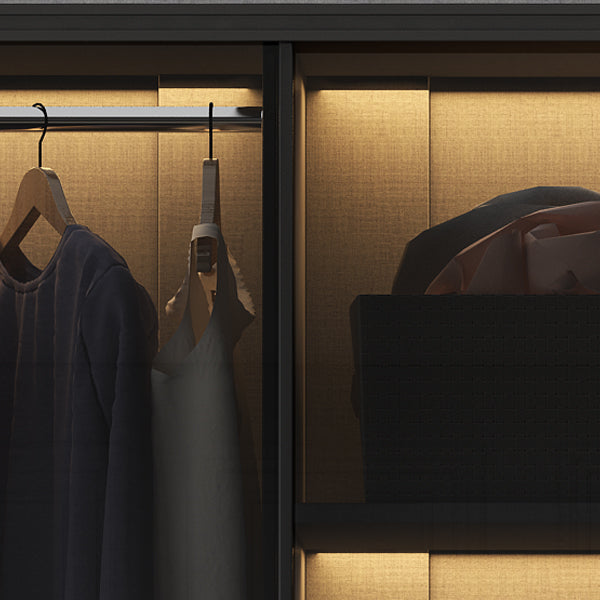 Modern Style Glass Wardrobe Black Colour Wardrobe Closet with Sliding Door