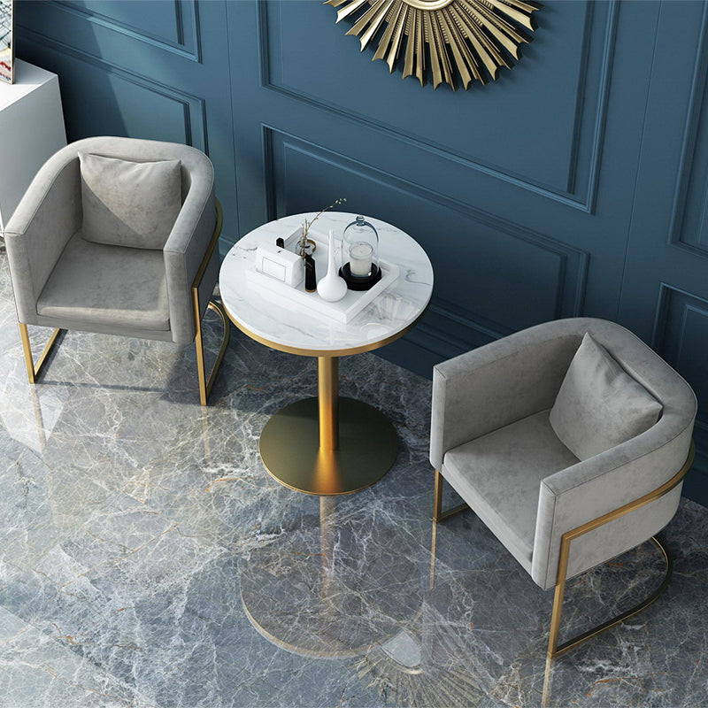 Modern Parsons Arm Chair Velvet Gold Base Dining Chair for Dining Room