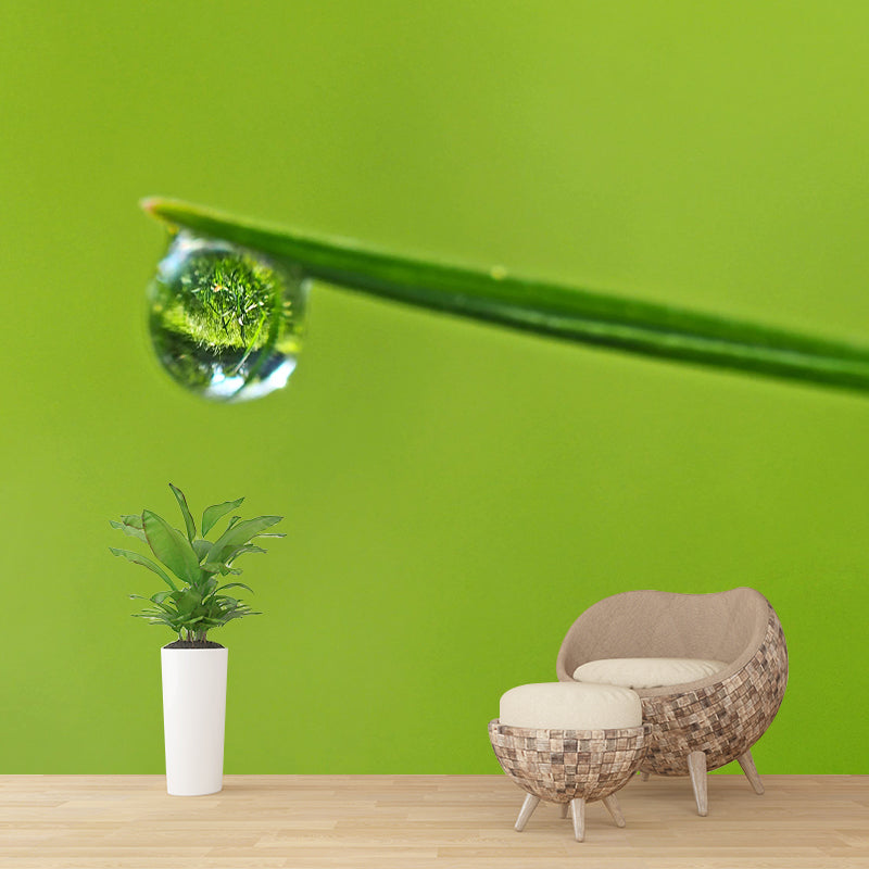 Environmental Wall Mural Wallpaper Plants Living Room Wall Mural