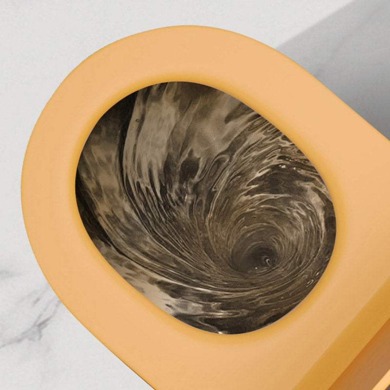 Skirted Toilet Floor Traditional Mount One-Piece Toilet with Slow Close Seat