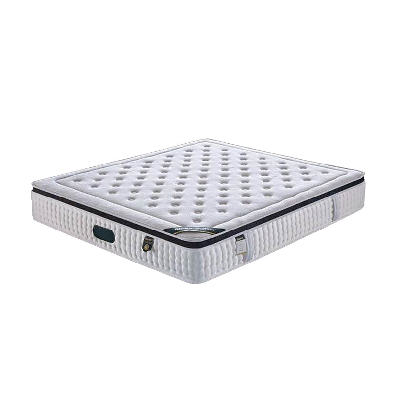 Glam Golden Finish Metallic Bed Wire-Grid Iron Bed Frame with Headboard