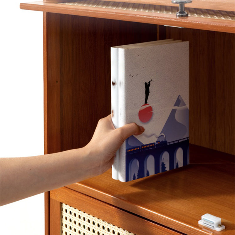 Contemporary Simple Rectangular Bamboo Cabinet with Doors in Brone