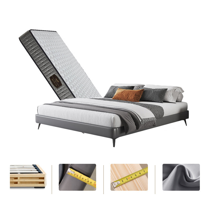 Modern Bed Frame Mattress Included Standard Bed with Custom Gold Legs