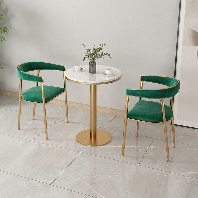 Dining Room Glam Chair Gold Legs Velvet Arm Chair with Upholstered