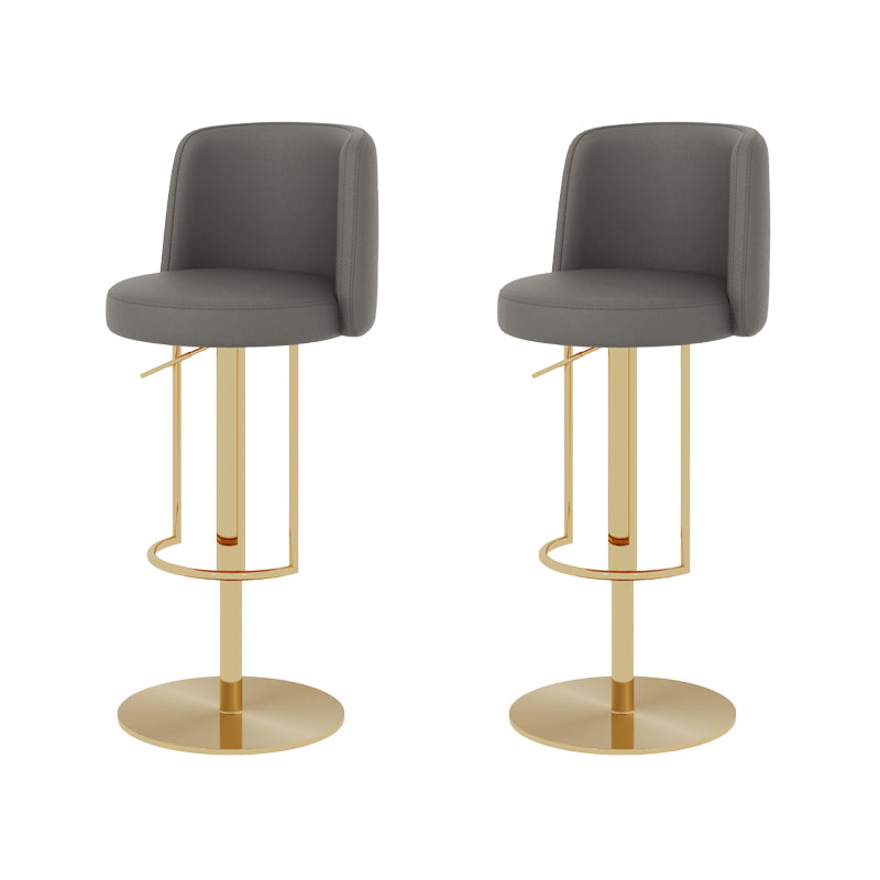 Adjustable Height Bar Stool Leather Backrest Counter Stool for Bristol