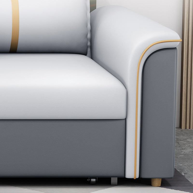 31"W Contemporary Sofa Bed Cushion Back Sleeper Sofa with Storage