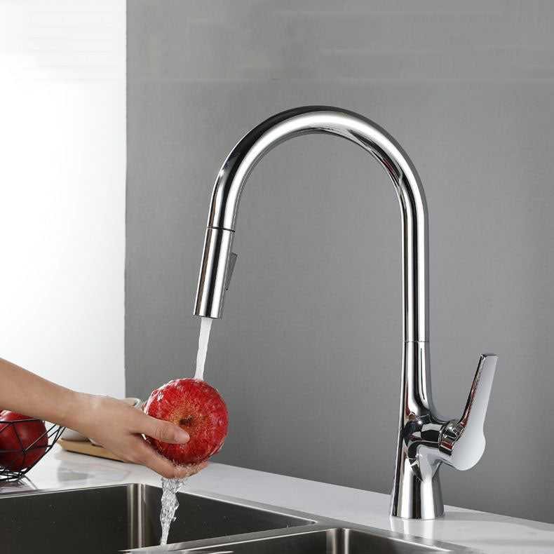 Contemporary Single Handle Standard Kitchen Faucet Pull Down 1-Hold Faucet
