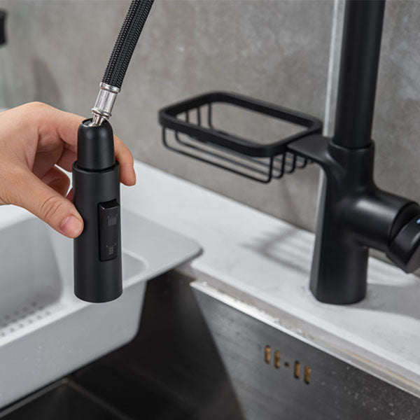 Modern Pull down Standard Kitchen Faucet Single Handle Faucet with Pull out Sprayer