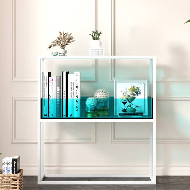1-Tier Standard Bookshelf Modern Style Open Back Acrylic Bookcase