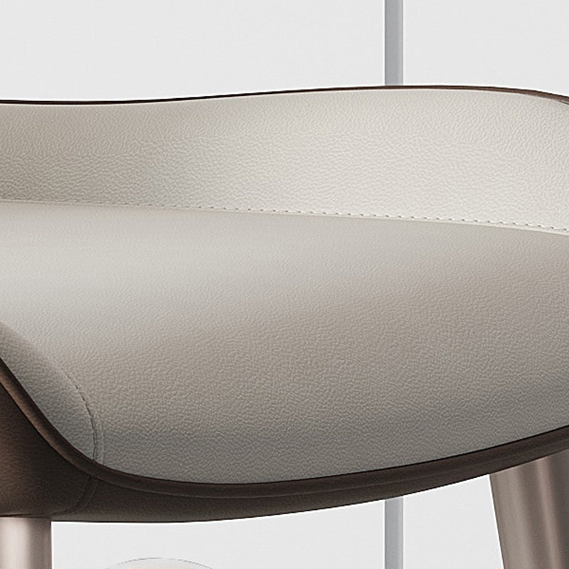 Modern Style Side Chair Metal Solid Back Dining Room Chair for Kitchen