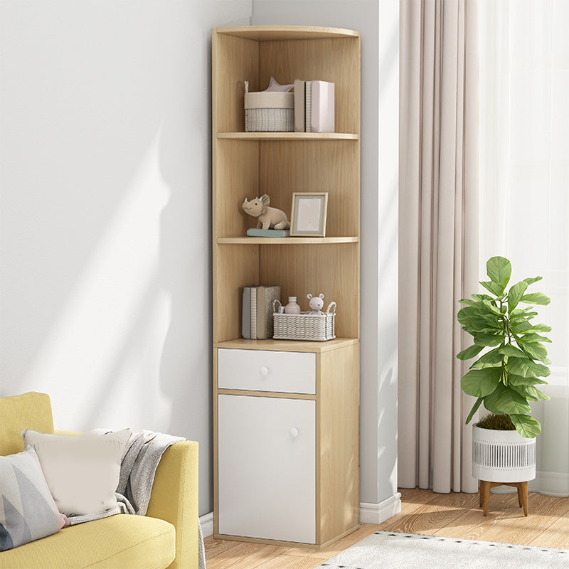 Contemporary Accent Cabinet with Drawers and 1 Wooden Door and Shelves