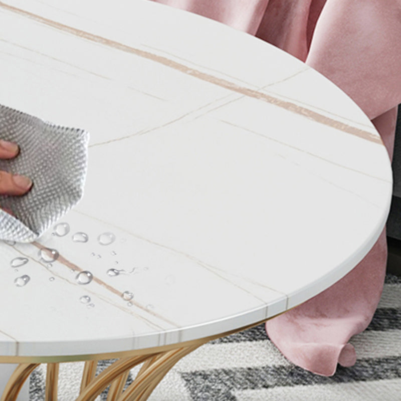 Glam Frame Single Coffee Table Oval Coffee Table with Drawer