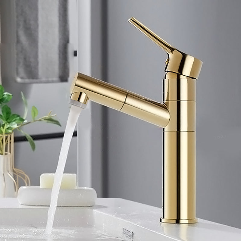 Swivel Spout Basin Faucet Pull-out Luxury Vanity Sink Faucet Circular Brass Faucet