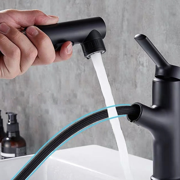 Contemporary Sink Faucet Plain Low Arc Copper Basin Lavatory Faucet