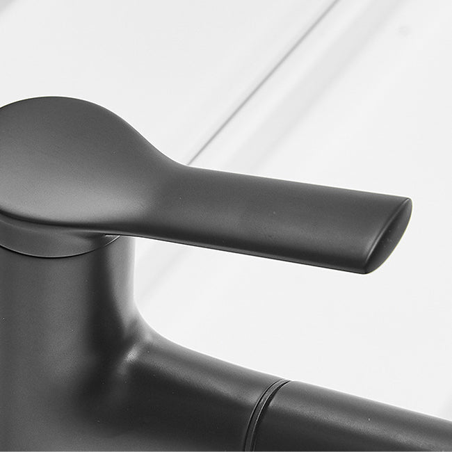 Contemporary Sink Faucet Plain Low Arc Copper Basin Lavatory Faucet