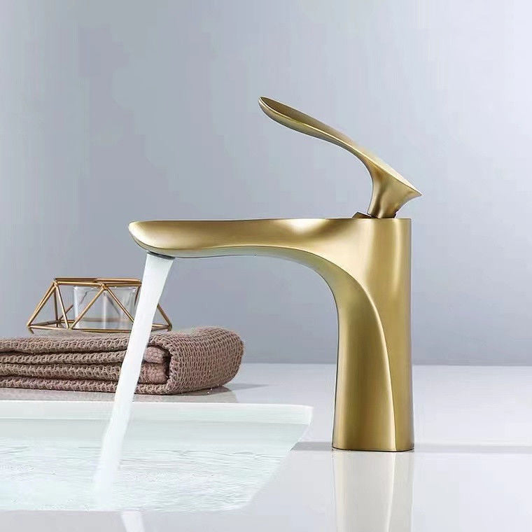 Lever Handle Vanity Sink Faucet Single Hole Basin Faucet with Water Hose