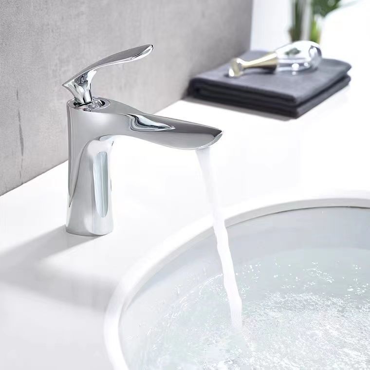 Lever Handle Vanity Sink Faucet Single Hole Basin Faucet with Water Hose