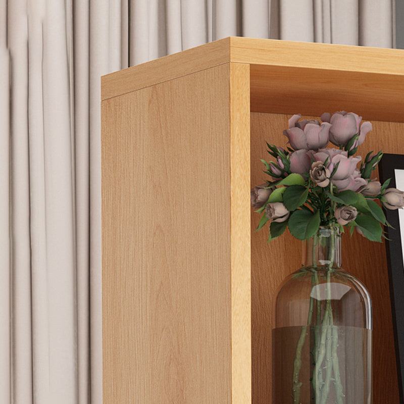 Contemporary Wooden Cabinet with Shelves Rectangle Storage Cabinet