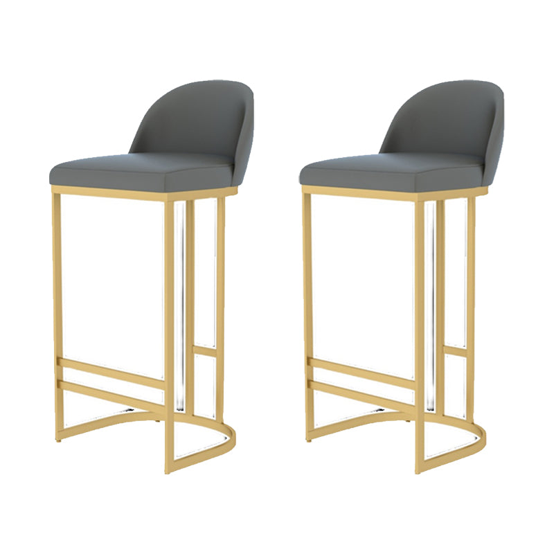 Glam Armless Backrest Counter Stool Iron Bar Stool with Pedal for Kitchen